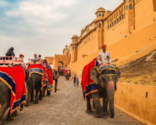 Elephant Safari in Jaipur Amber Fort