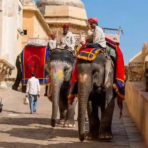 Jaipur Walking Half Day Tour